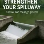 strengthen your spillway