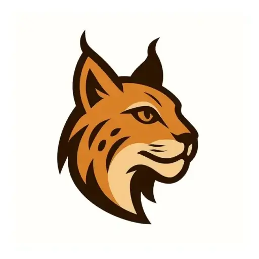 What's New at Hyperlynx Studio — Services, Books, and What's Coming in 2026 1 Hyperlynx studio logo